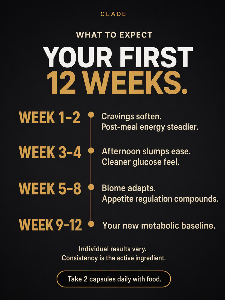 Results timeline