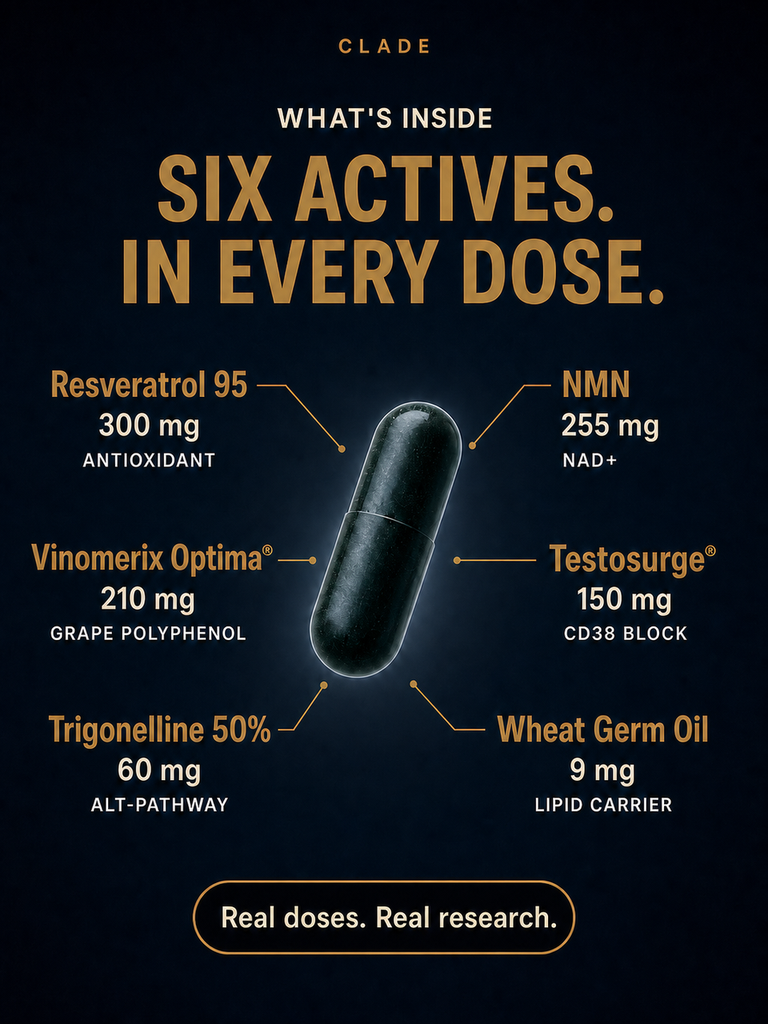 Key benefits