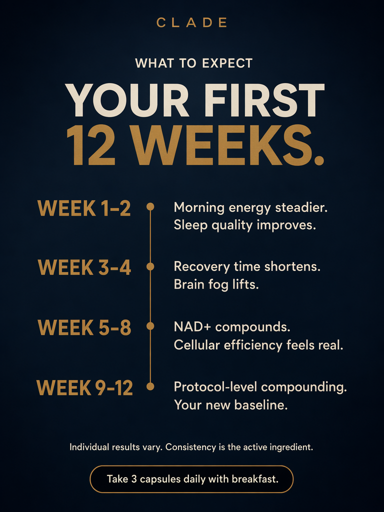 Results timeline