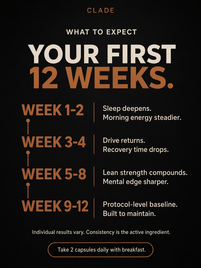 Results timeline